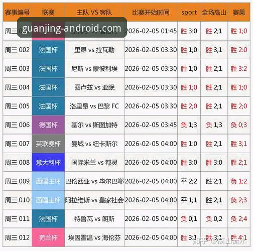 冠竞体育APP实战体验全面解析：从下载到数据使用的完整指南